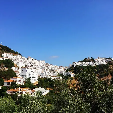 Lägenhet Casares Real